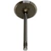Picture of Crown Automotive Jeep Replacement Engine Intake Valve - 53021990AA