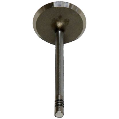 Picture of Crown Automotive Jeep Replacement Engine Intake Valve - 53021990AA