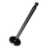 Picture of Crown Automotive Jeep Replacement Engine Intake Valve - 637182