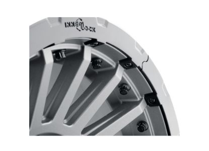 Picture of ICON Alloys Wheel Rim Guard - 192051B