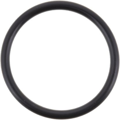 Picture of Spicer Multi-Purpose O-Ring - 078931