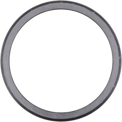Picture of Spicer Axle Differential Bearing Race - 098388