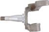 Picture of Spicer Steering Knuckle - 10009119