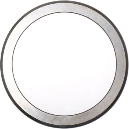 Picture of Spicer Axle Differential Bearing Race - 10011394