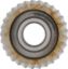 Picture of Spicer Differential Pinion Gear - 10019031