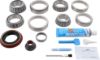 Picture of Spicer Differential Rebuild Kit - 10024027