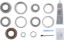 Picture of Spicer Differential Rebuild Kit - 10024037