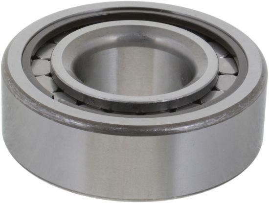 Picture of Spicer Differential Pilot Bearing - 10038914