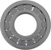 Picture of Spicer Differential Pilot Bearing - 10038915