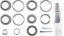 Picture of Spicer Differential Rebuild Kit - 10038939