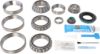 Picture of Spicer Differential Rebuild Kit - 10038941