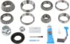 Picture of Spicer Differential Rebuild Kit - 10038947