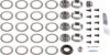 Picture of Spicer Differential Rebuild Kit - 10038953