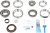 Picture of Spicer Differential Rebuild Kit - 10038962