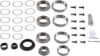Picture of Spicer Differential Rebuild Kit - 10038967