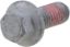 Picture of Spicer Differential Cover Bolt - 10050881