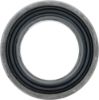 Picture of Spicer Drive Axle Shaft Seal - 10050942