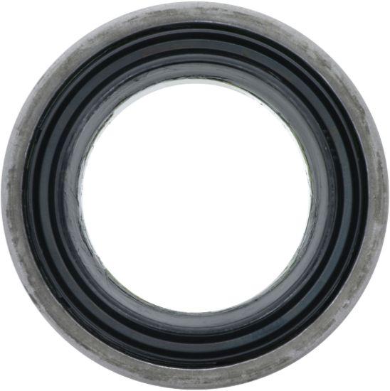 Picture of Spicer Drive Axle Shaft Seal - 10050942