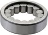Picture of Spicer Differential Bearing - 10052207