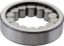 Picture of Spicer Differential Bearing - 10052207