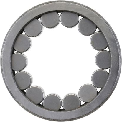 Picture of Spicer Differential Bearing - 10052207