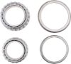 Picture of Spicer Differential Bearing Kit - 10055873