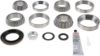Picture of Spicer Differential Rebuild Kit - 10055883