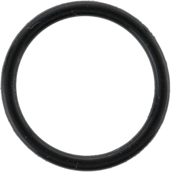 Picture of Spicer Multi-Purpose O-Ring - 113140