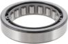 Picture of Spicer Differential Bearing - 118788