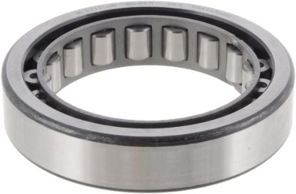 Picture of Spicer Differential Bearing - 118788