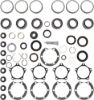 Picture of Spicer Axle Differential Bearing and Seal Kit - 124487