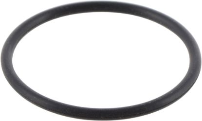 Picture of Spicer Multi-Purpose O-Ring - 128727