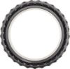 Picture of Spicer Differential Bearing - 131042
