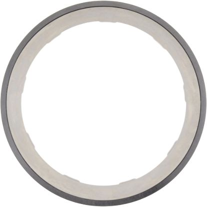 Picture of Spicer Axle Differential Bearing Race - 131048
