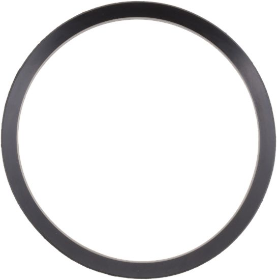 Picture of Spicer Differential Pinion Seal - 131333