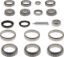 Picture of Spicer Axle Differential Bearing and Seal Kit - 211222