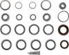 Picture of Spicer Axle Differential Bearing and Seal Kit - 216234-1