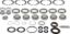 Picture of Spicer Axle Differential Bearing and Seal Kit - 217463-1