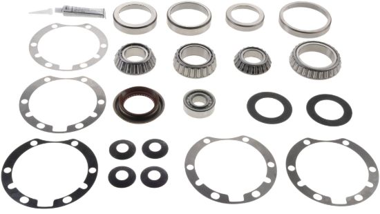 Picture of Spicer Axle Differential Bearing and Seal Kit - 217464-1