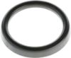 Picture of Spicer Differential Pinion Repair Sleeve - 231935-1