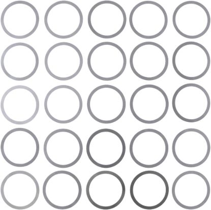 Picture of Spicer Differential Pinion Shim - 31409-1