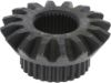 Picture of Spicer Differential Side Gear - 35294
