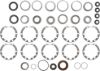 Picture of Spicer Axle Differential Bearing and Seal Kit - 504118