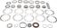 Picture of Spicer Axle Differential Bearing and Seal Kit - 504118-2
