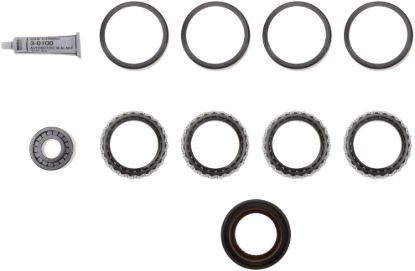 Picture of Spicer Axle Differential Bearing and Seal Kit - 504119-1