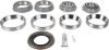 Picture of Spicer Axle Differential Bearing and Seal Kit - 504130