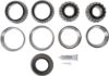 Picture of Spicer Axle Differential Bearing and Seal Kit - 504130