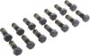 Picture of Spicer Differential Ring Gear Bolt - 504370