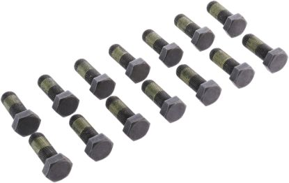 Picture of Spicer Differential Ring Gear Bolt - 504370