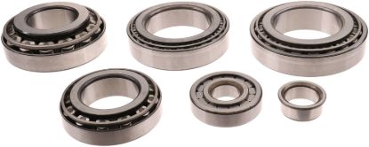 Picture of Spicer Axle Differential Bearing and Seal Kit - 504374
